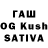 Псилоцибиновые грибы Magic Shrooms Knut Ritter