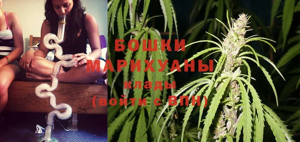 таблы Осинники