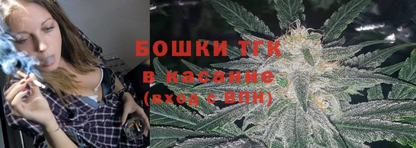 шишки Армянск