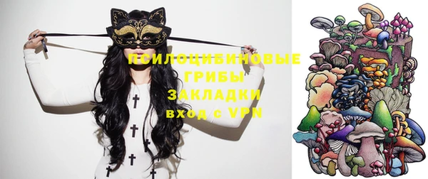 шишки Армянск