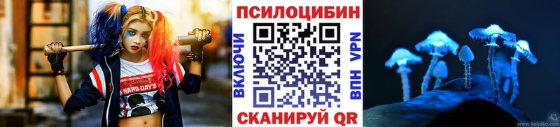 Галлюциногенные грибы GOLDEN TEACHER  Кировск 