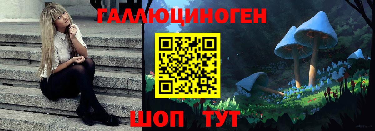 Кировск  Галлюциногенные грибы ЛСД  Вход с VPN 